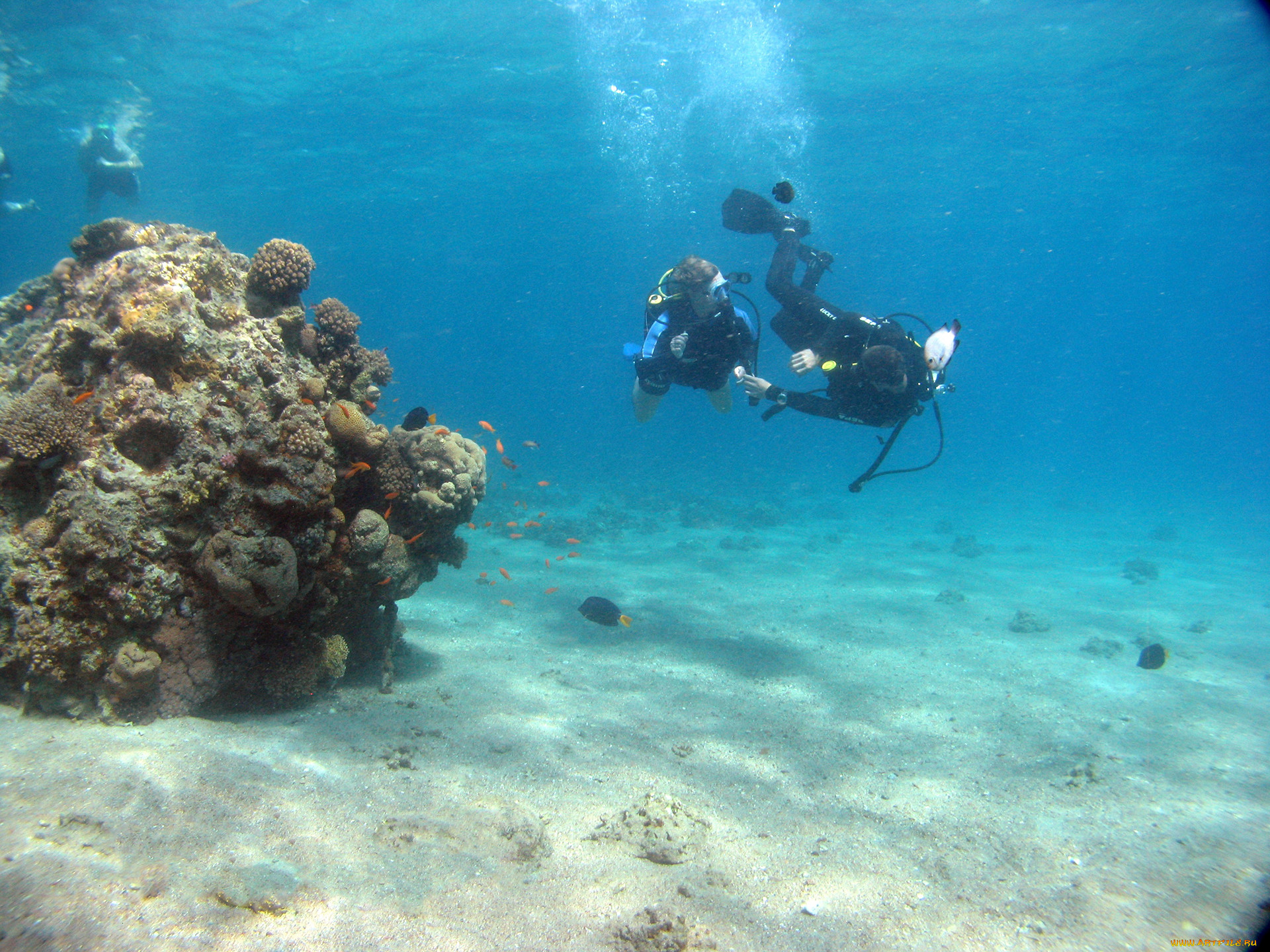 diving, , - , , , , 